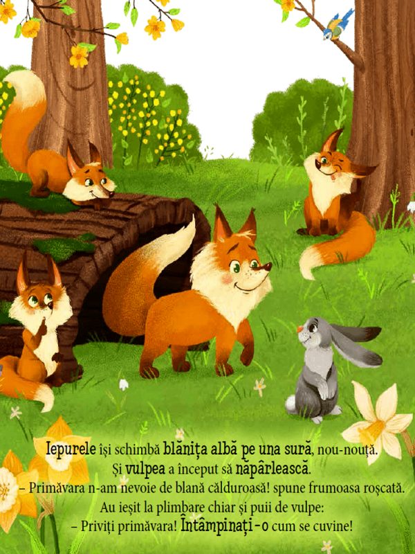 Aricelul4