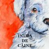 Inima de caine